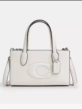 Coach Nina Mini Tote Bag